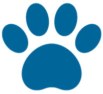 veterinarija